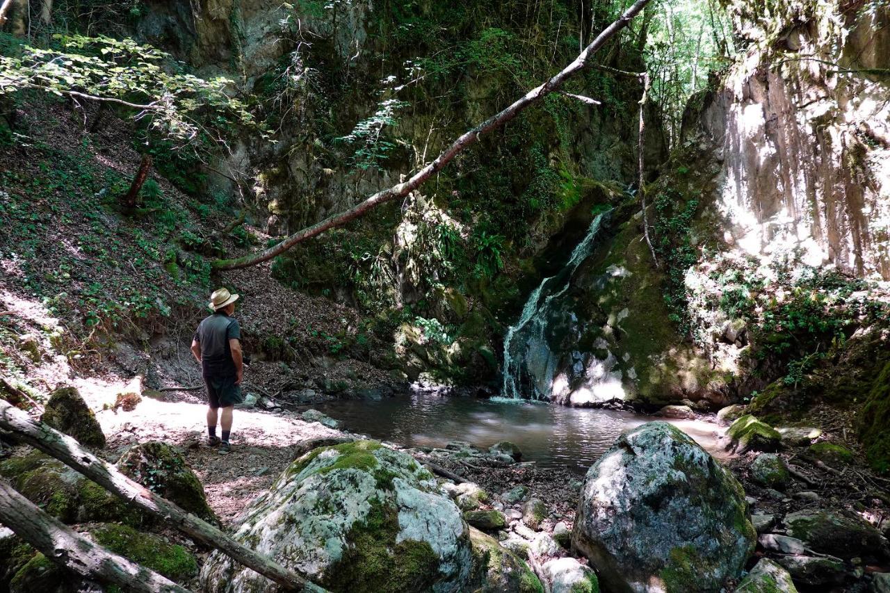 Хостел Mas Rural El Negre Ogassa Экстерьер фото