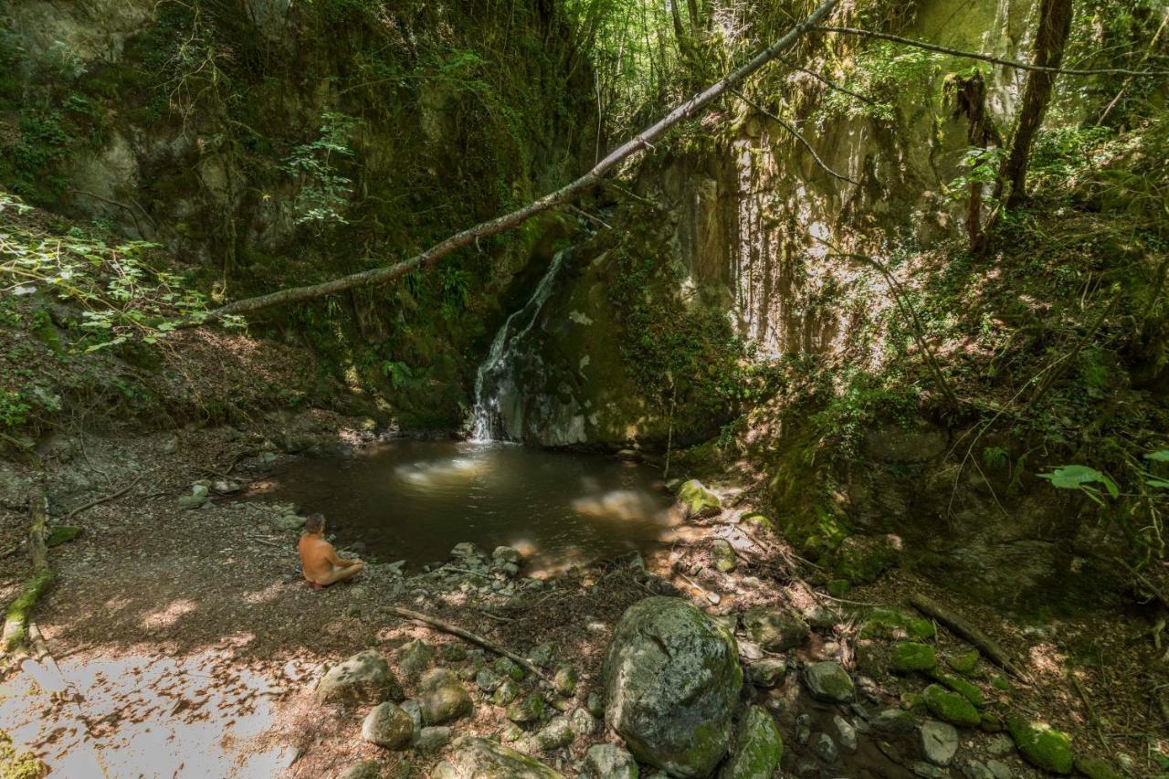 Хостел Mas Rural El Negre Ogassa Экстерьер фото