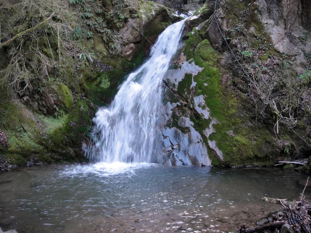 Хостел Mas Rural El Negre Ogassa Экстерьер фото